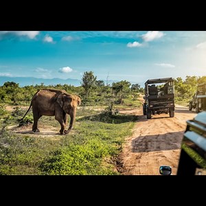 Sri Lanka & Maldives: Manta Rays and Tropical Escapes - 12 Days - Maybe the greatest adventure in the world.... | The Adventure People