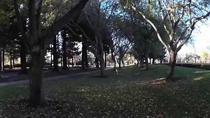 I Have Got To Get Me One Of These!