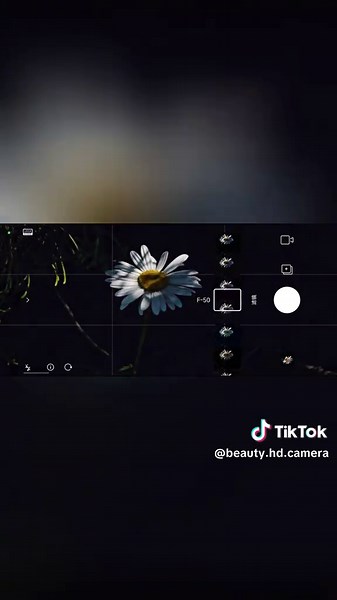 Beauty HD camera for your phone