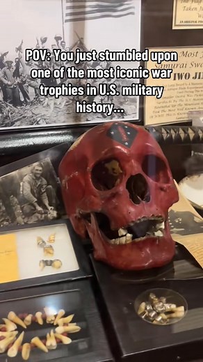 The news story clipping on display beside the trophy: “Marine Recruiting Sergeant John Shough of Springfield holds the skull of a Japanese sniper who was killed on Guadalcanal 20 years ago during World War II. Before the Japanese sniper was spotted tied high in a tree, he k****d a young Marine who had gained quite a name for himself during the fighting. To avenge his death, other Marines in his group beheaded the sniper and upon his skull painted the emblem of the First Marine Division and the A