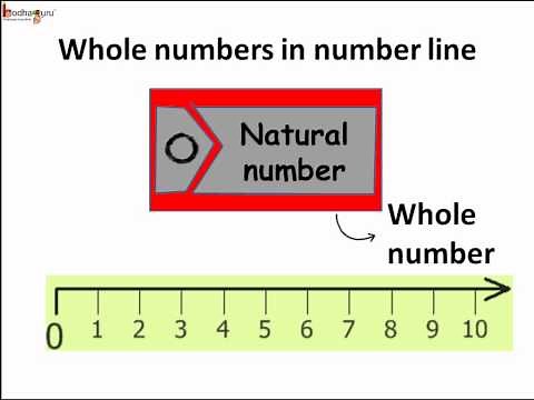 Math - What is a Whole Number - English