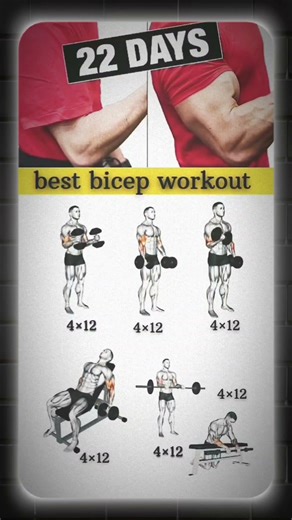 BIGGER BICEPS FAST 💪 | Correct Form | 3D Workout