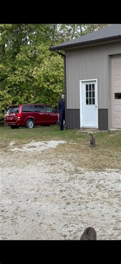 1.2M views · 57K reactions | She runs like a dream | Michael Myers of Decatur | Facebook