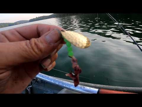 Pike Fishing: Canadian Style Spin Worm for BIG Summer Pickerel