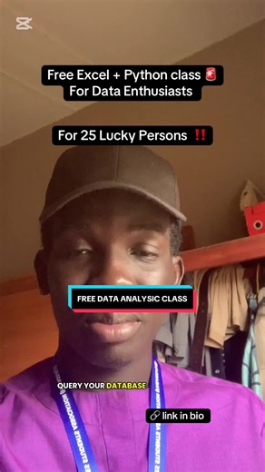 Free Data Analysis and Excel Course for Beginners