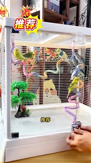 attached this colorful climbing rope to the parrot, and the little bird is overjoyed! It climbs