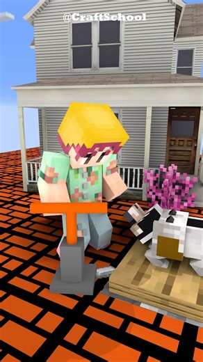 Help Two Dogs Find Treasure for Jinu!