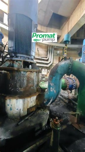 Promat Pump Sealless Self priming Pump