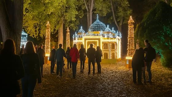 Magical lights in Budapest’s night park