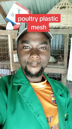 poultry plastic mesh is a game changer in poultry production.#youngfarmer #farmtiktok #poultry #chickencare #kuku #freerangechickens