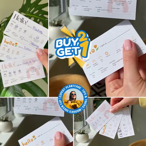 Add Your Logo Printable Plant Care Cards: Canva Template (digital Download) - Etsy