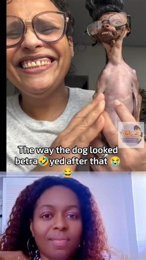 The way the dog looked betra🤣 yed after that 😭😂#comedy #funnyvideos