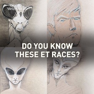 How many ET species exist in our universe? Well here are some that we found out, watch the FULL videos for more! 👽👽 For uncensored content and an ad-free experience: www.edgeofwonder.tv | Edge of Wonder