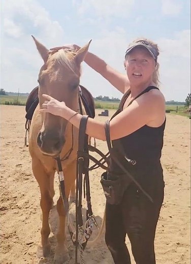 teaching a horse to lower his head..pressure/release
