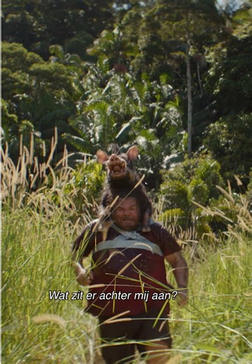RUN! 💨 Beleef met Paul Rudd & Jack Black het meest gekke jungle avontuur ooit. #AnacondaMovie, vanaf 24 december in de bioscoop.