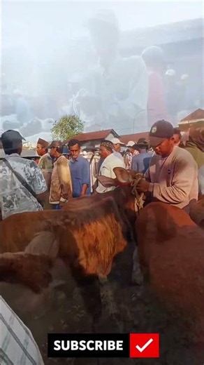Market atmosphere