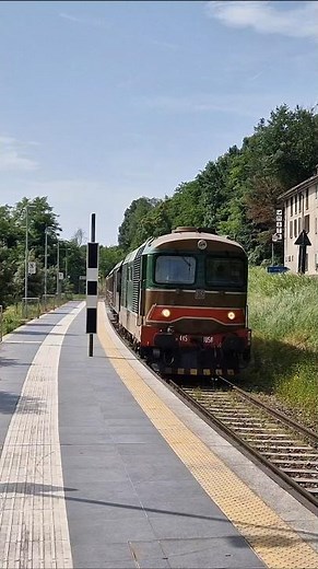 Treno storico Besanino Express della Fondazione FS in transito con locomotiva diesel D445, train