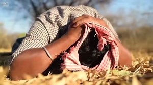 Facing the deadliest bears: True encounters in the wild