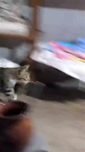 Bluetooth not connected | bluetooth