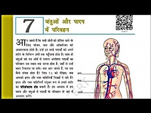 Class 7 science chapter 7 question answer | कक्षा 7 विज्ञान अध्याय 7 प्रश्न उत्तर