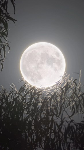 Exploring the Moon: Astounding Close-Up Shots