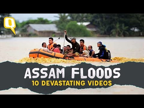 'Worst in Decades': Assam Floods Through 10 Devastating Videos