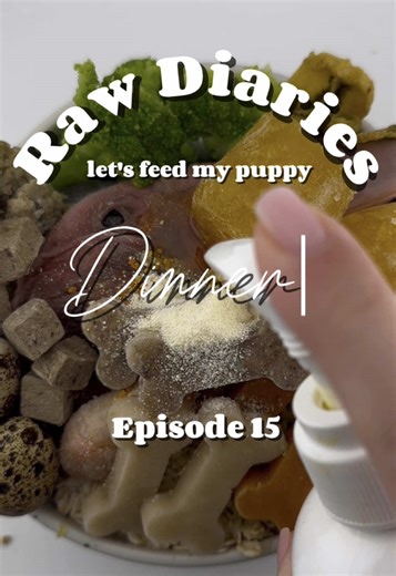 Feeding My Doberman Puppy Dinner Time Routine