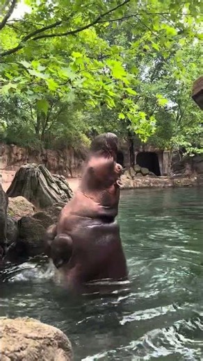 Fiona reaching for some leaves.