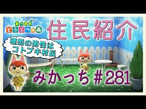 Introducing Animal Crossing Residents: Mikachi #281 New Horizons Felicity