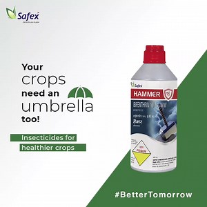 Farmers, don't forget to get your monsoon essentials before the enemy returns! Safex Chemicals’ Insecticides are proven to impact pests in various stages of infestation effectively reducing the damage. Build a #BetterTomorrow for crops with us. Visit our Website: https://bit.ly/3BDmkqr #SafexChemicals #Agrochemicals #Insecticides #Agriculture #Farming #CropProtection | Safex Chemicals India Ltd.