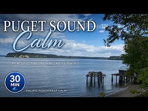 The Nature 🌿 of Calm 🌲🌊 Puget Sound Gentle Waves 🌊 Nature Meditation Gig Harbor, Washington