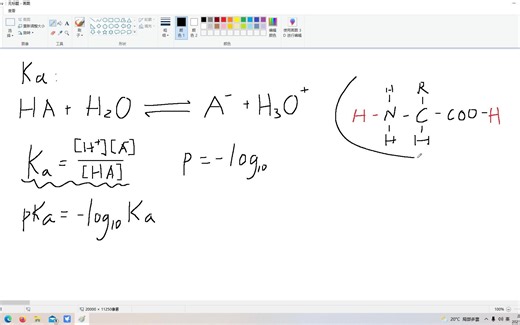 勘误！pKa的原理和pI的计算原理-pKa and Calculation of pI