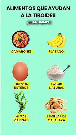 6 Alimentos que AYUDAN a la Tiroides