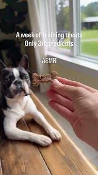 Homemade Dog Training Treats (3 Ingredients, Made From Their Own Food)