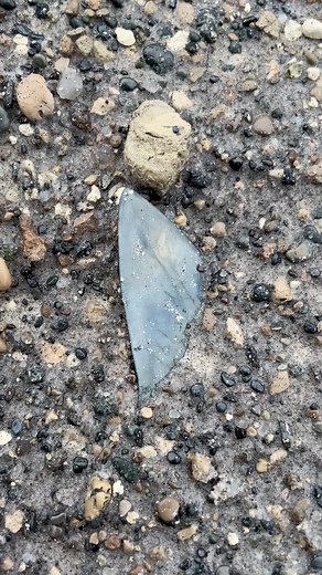 Big, weird and awesome Mako Shark tooth got pinched! #SHRKco #sharktoothnecklace #handmadejewelry #fossils | SHRKco