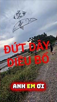 KIDS FLYING A 6M FLUTE KITE HAVE THE STRING SNAP AND IT FREE-FALLS, THE ENDING IS SHOCKING 😱😱 #ki...