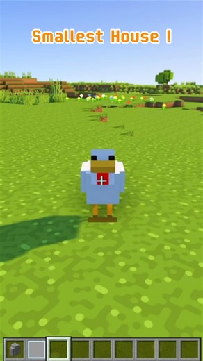 Minecraft The World's Smallest House 🏡 #shorts