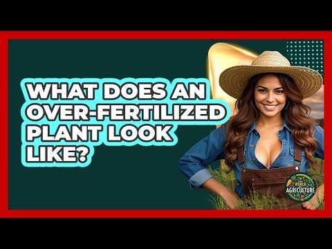 What does an over-fertilized plant look like?
