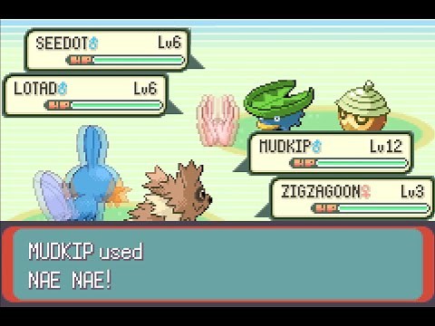 Every Pokemon Generation 3 Move, Sorted by Shortest to Longest Animation