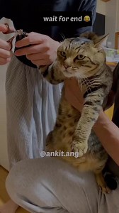 ninja hathodi 😾 #angvines | ankit.ang