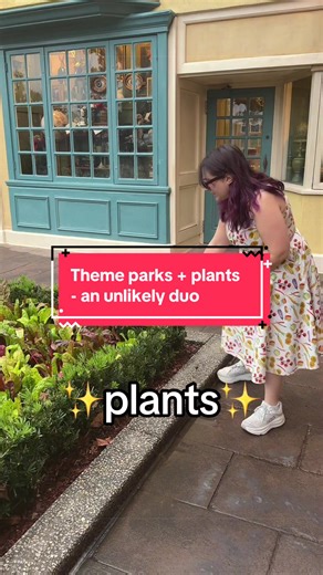 Where are all my Disney World, Disneyland and Universal loving plant people who love deep diving into landscape architecture and horticulture at theme parks? #homegardener #disneyadult #plantpeople