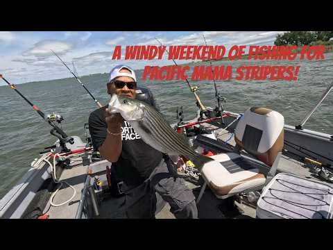 TheDeltaRats, A Windy Weekend of Fishing for Pacific Mama Stripers!