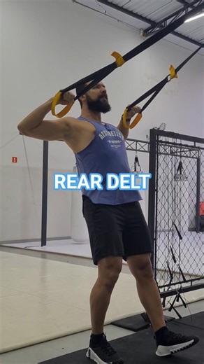 ✅️ TOP 3 TRX SHOULDER EXERCISES #shorts shor