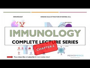 Chapter 6 | Complement System – Classical, Lectin & Alternative Pathways Explained Simply