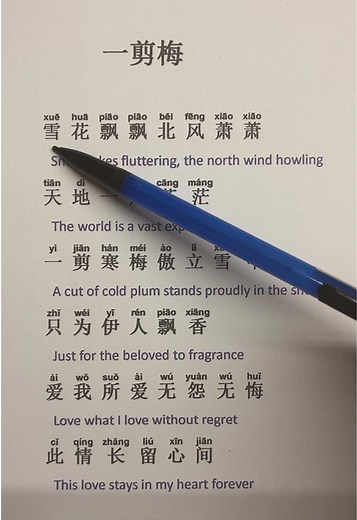 Learn the Chinese Song: Yi Jian Mei