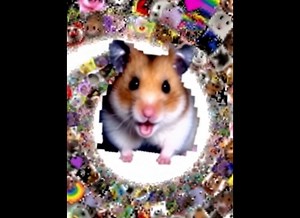 Connor Clarke on Instagram: "✌️☮️Peace n Love ☮️✌️ 💜🐹 It's The Hamster Dance🐹💜 THIS IS A SERIOUS MESSAGE TO EVERYBODY WATCHING MY... UPDATE RIGHT NOW 👁️☮️ I AM WARNING YOU WITH PEACE N LOVE BUT I HAVE TOO MUCH TO DO ⚠️☮️💜"