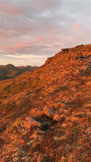 August sunsets from Camp Ridge. We can’t think of a better way to end the day. #CampDenali | Camp Denali
