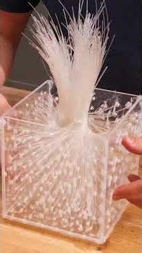 Genius DIY Hacks You Won't Believe Are Real!