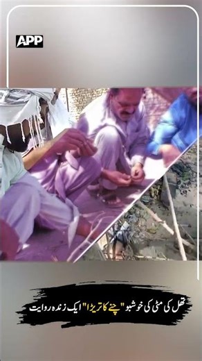 Taste of Thal: “Chana Tareera” – A Living Cultural Tradition