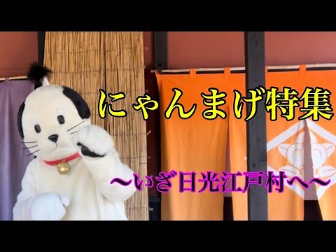 にゃんまげ特集！日光江戸村でのとある日常